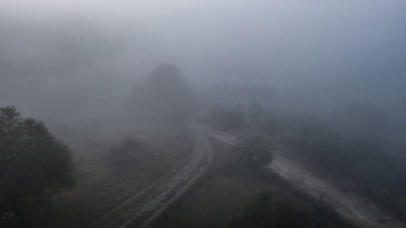 उत्तर भारत में IMD Orange Alert, दिल्ली-यूपी में घना कोहरा और बढ़ी ठंड